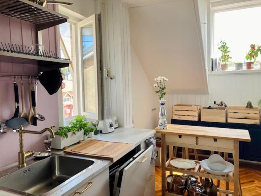 Big, Bright Apartment In The Center Of Zagreb Bagian luar foto