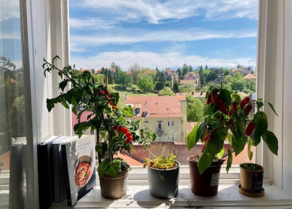 Big, Bright Apartment In The Center Of Zagreb Bagian luar foto