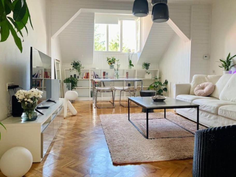 Big, Bright Apartment In The Center Of Zagreb Bagian luar foto