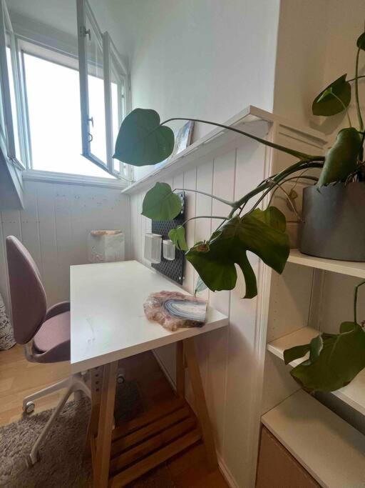 Big, Bright Apartment In The Center Of Zagreb Bagian luar foto